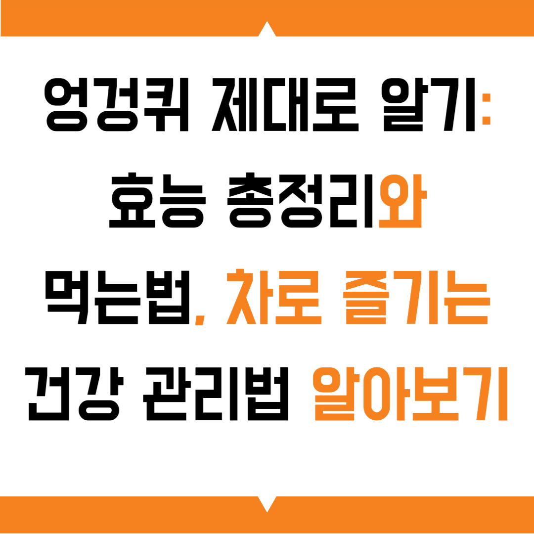 엉겅퀴 제대로 알기: 효능 총정리와 먹는법, 차로 즐기는 건강 관리법