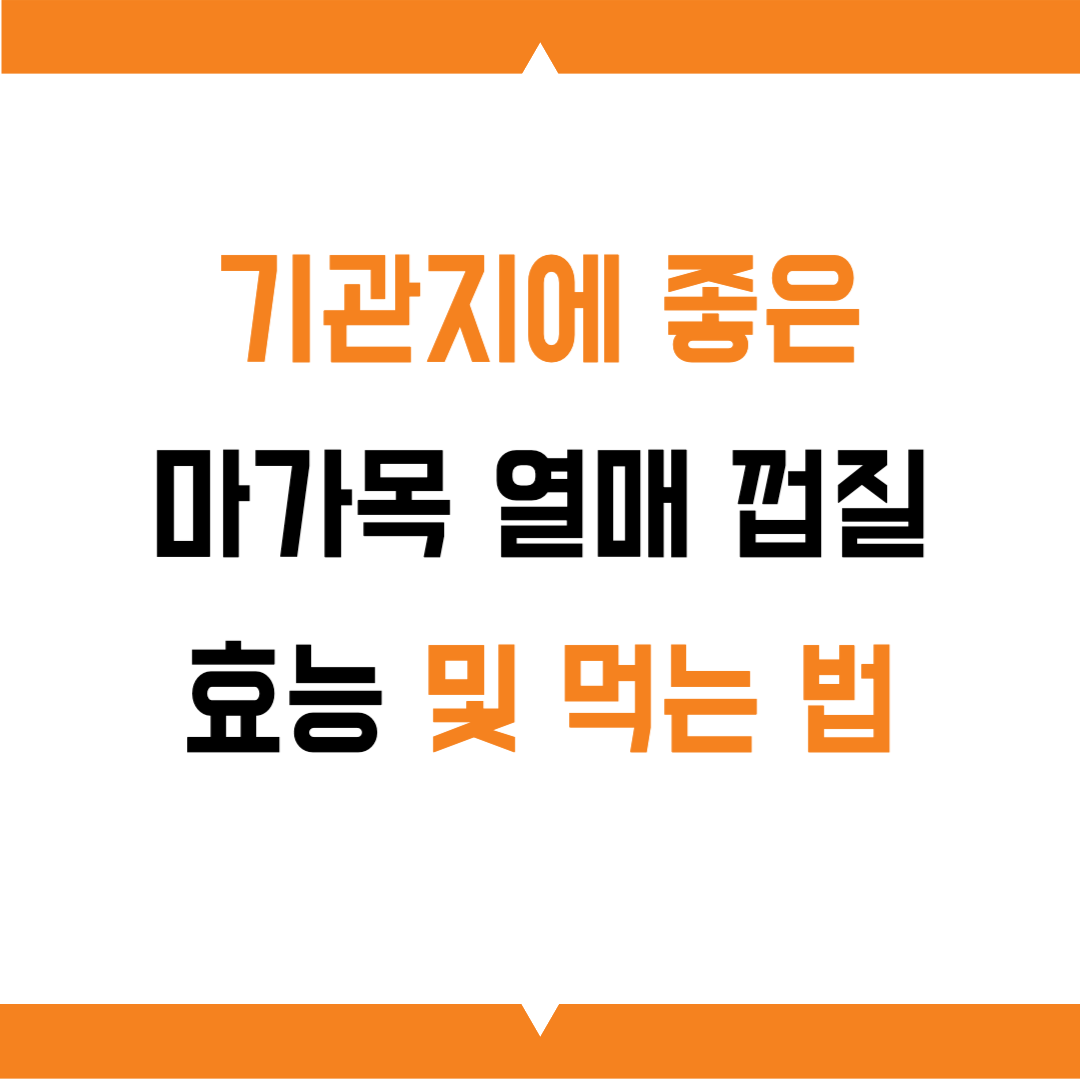 마가목 효능