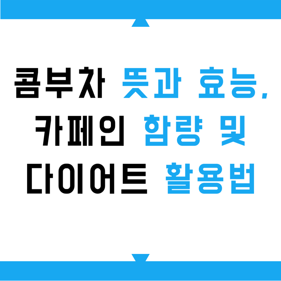 콤부차 뜻과 효능