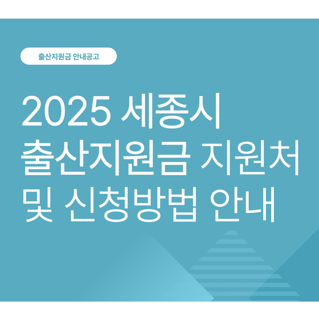 2025 세종시 출산지원금 지원처 및 신청방법 안내