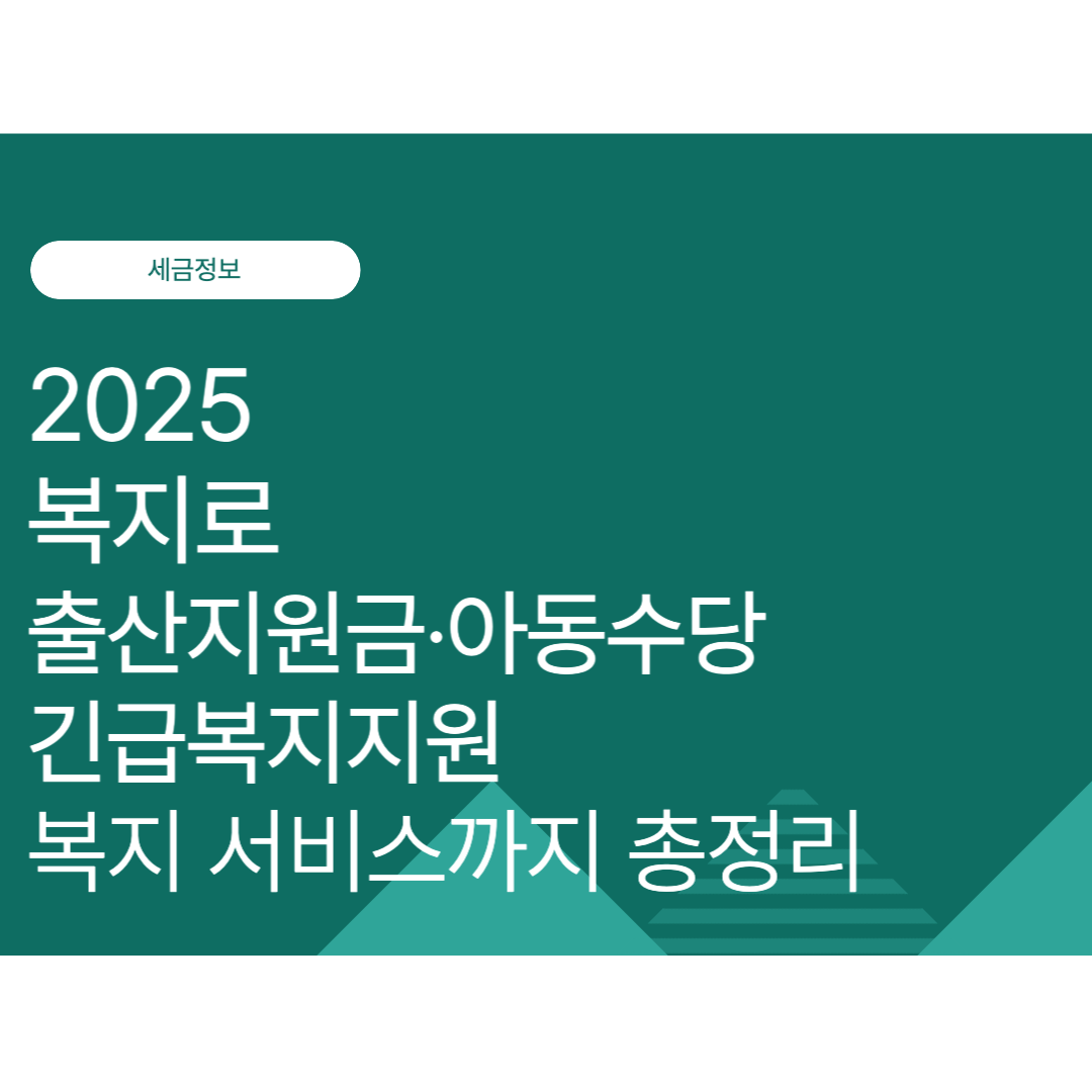 출산지원금·아동수당 신청방법부터 복지로 긴급복지지원 복지 서비스까지 총정리 (2025년 최신)