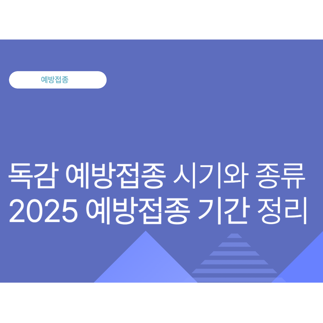 독감 예방접종 시기와 종류, 2025 예방접종 기간 정리