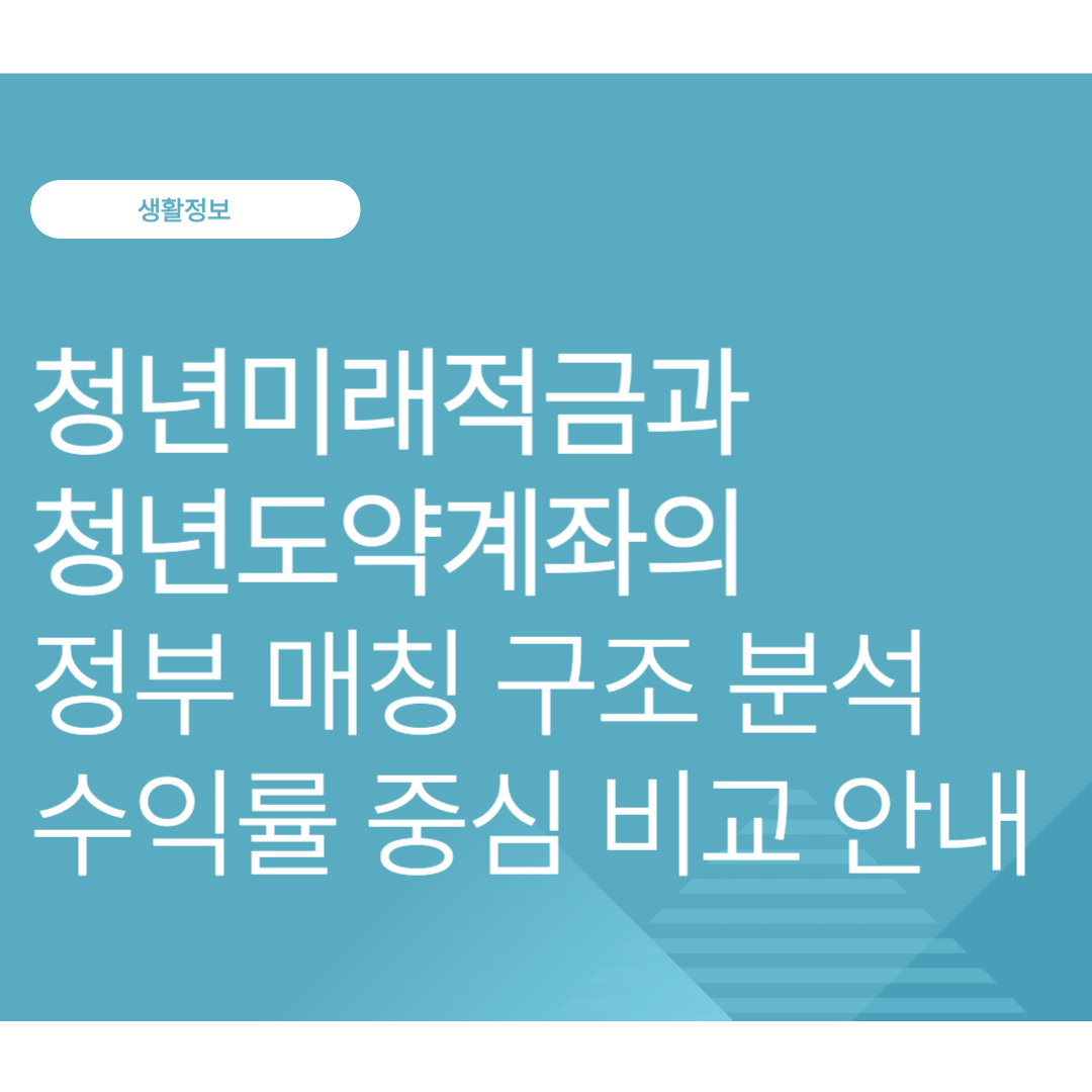 청년미래적금과 청년도약계좌의 정부 매칭 구조 분석 수익률 중심 비교 안내