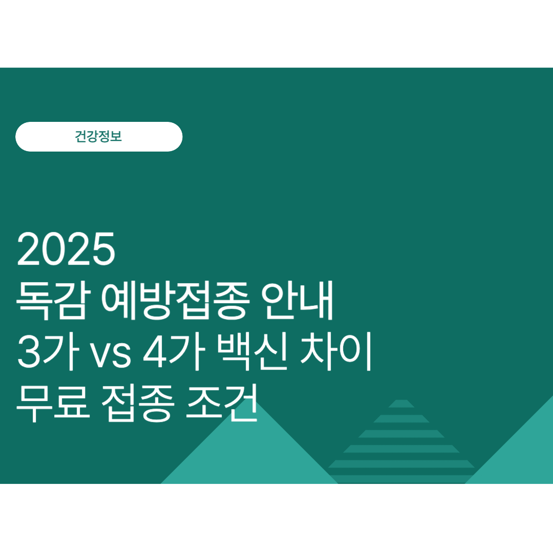 2025 독감 예방접종 안내: 3가 vs 4가 백신 차이와 무료 접종 조건